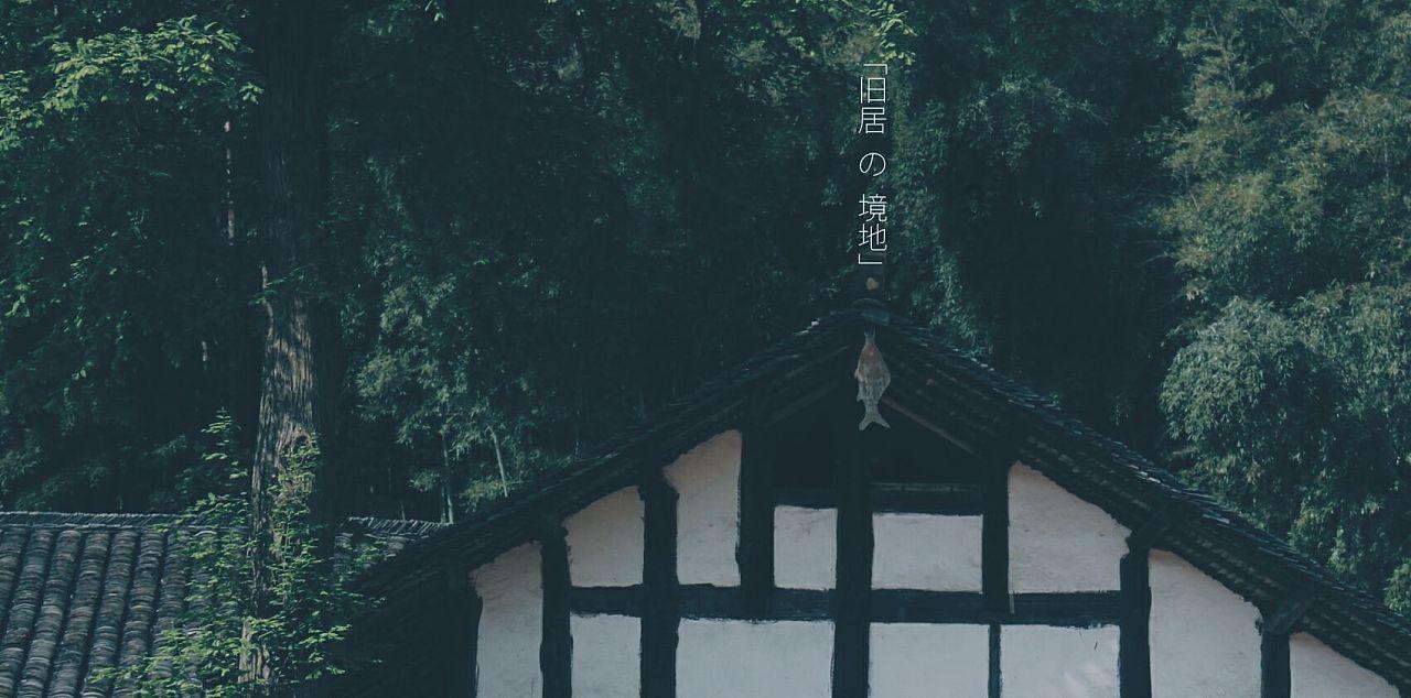 今晚开播！央视24集大剧空降！我难掩激动，终于有像样央视剧了
